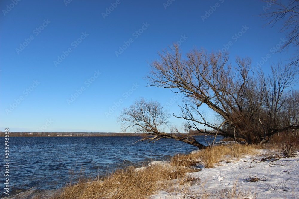 Beautiful winter landscape at the ravine Petrie Island, Ottawa river Beautiful winter landscape at the ravine Petrie Island, Ottawa river