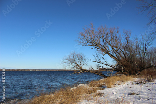 Wallpaper Mural Beautiful winter landscape at the ravine Petrie Island, Ottawa river Torontodigital.ca