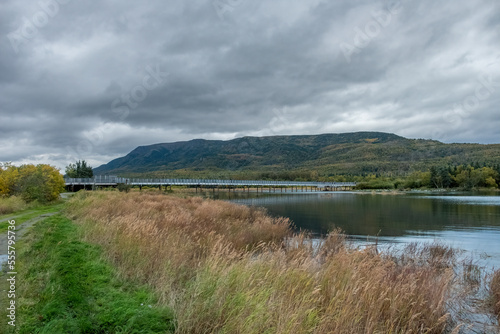 The Lower River Platform, Brooks River, Katmai National Park, Alaska