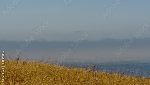 Channel Islands National Park  Santa Cruz Island California  USA