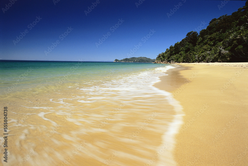 Beach at Abel Tasman National Park, New Zealand, South Island Beach at Abel Tasman National Park, New Zealand, South Island