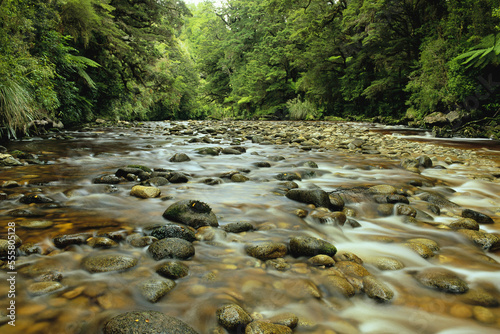 Oparara River, Kahurangi National Park, New Zealand