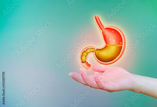Stomach ache and epigastric abdominal pain, fire in the stomach. Symptoms of stomach acid reflux disease, digestive system problem. Gerd, gastritis. concept of good digestion
