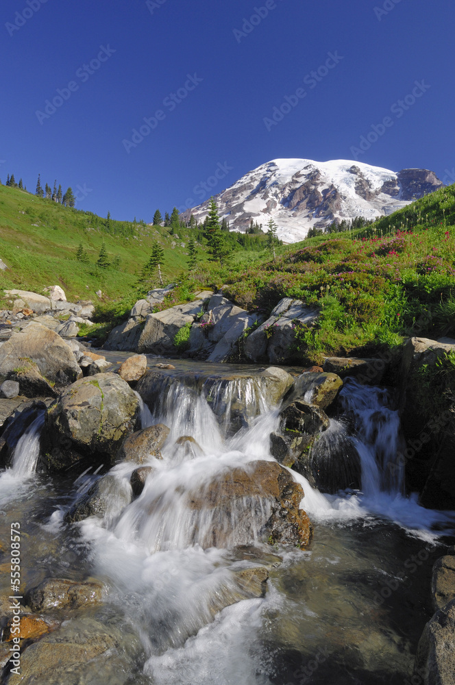 Mount Rainier and Stream, Mount Rainier National Park, Pierce County, Cascade Range, Washington, USA Mount Rainier and Stream, Mount Rainier National Park, Pierce County, Cascade Range, Washington, USA