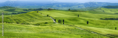 Track passing through green fields with cypress trees. Pienza, Siena Province, Val d´Orcia, Tuscany, Italy.