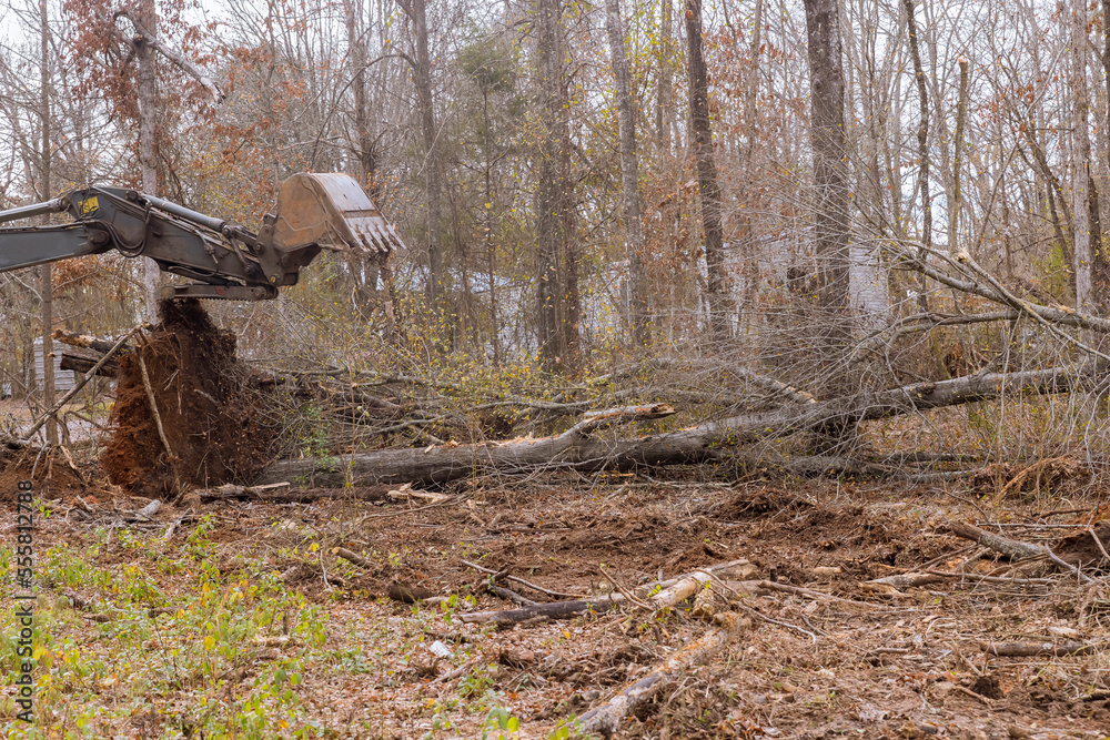 Construction site of housing development was cleared using tractor skid steers for purpose subdividing land removing uprooted trees from property Construction site of housing development was cleared using tractor skid steers for purpose subdividing land removing uprooted trees from property