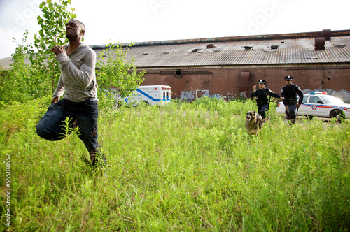 Police Officers and Police Dog Chasing Suspect Through Field photo