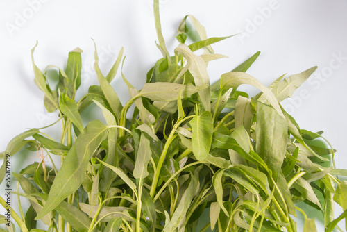 front view, Water spinach or Kangkung isolated on white background. Selective focus