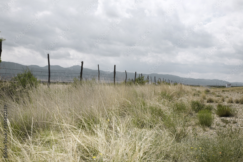 Fence in Grassland, Texas, USA