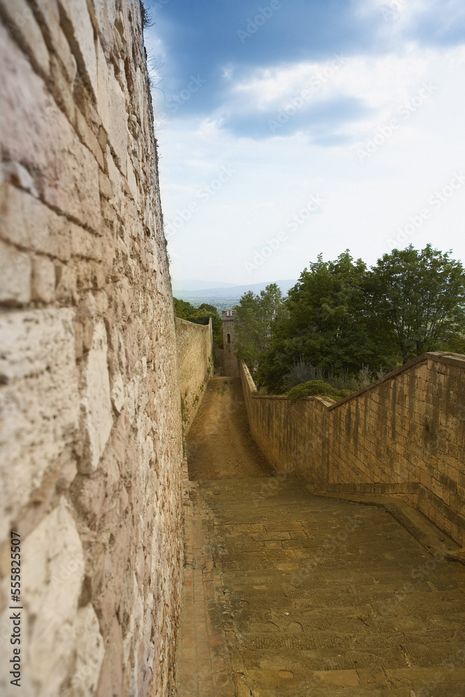 Pathway, Tuscany, Italy Pathway, Tuscany, Italy