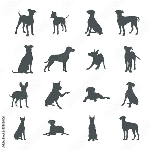 Canvas Print German pinscher dog silhouettes, German pinscher dog silhouette set