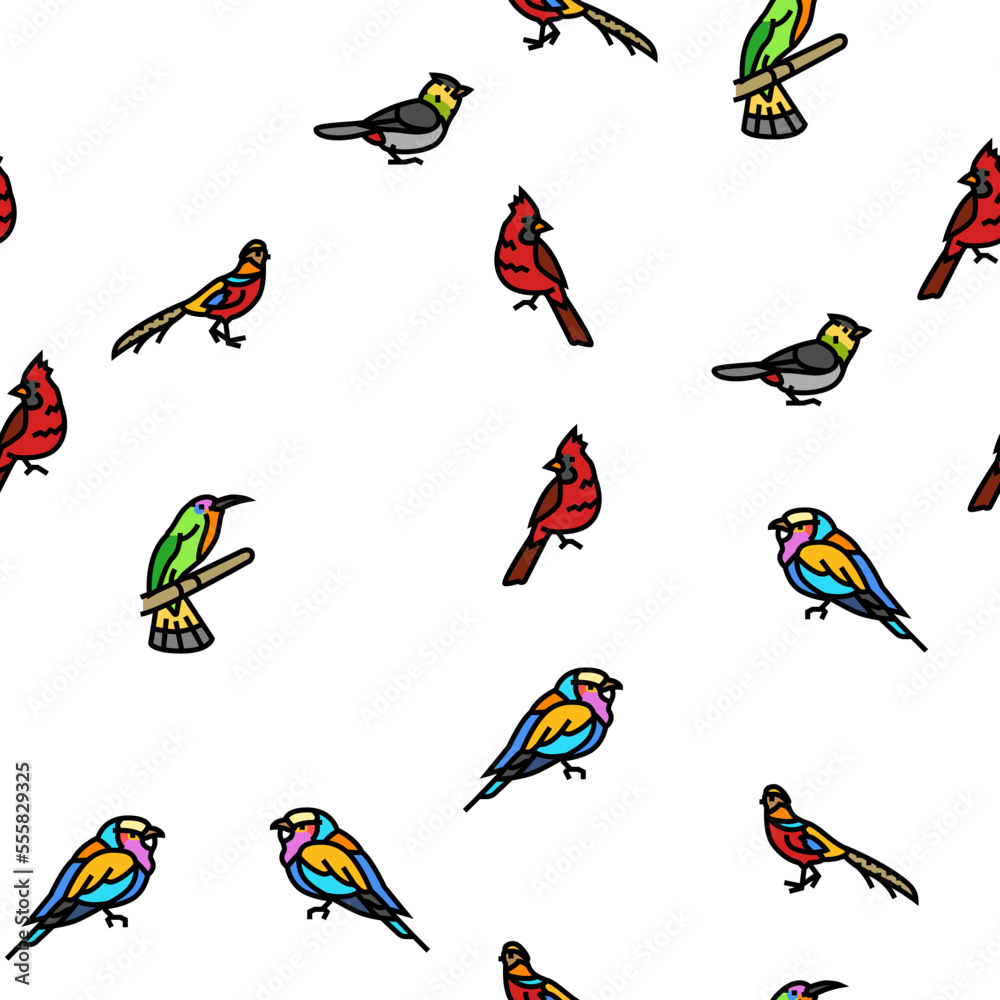 Obraz premium bird exotic animal nature wild vector seamless pattern thin line illustration