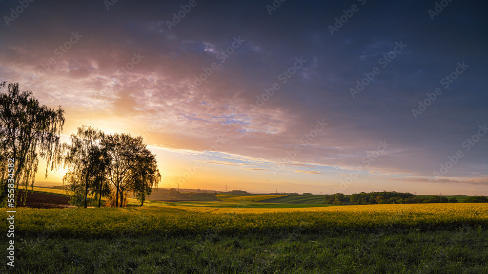 Panorama mit Bäumen und Sonnenaufgang