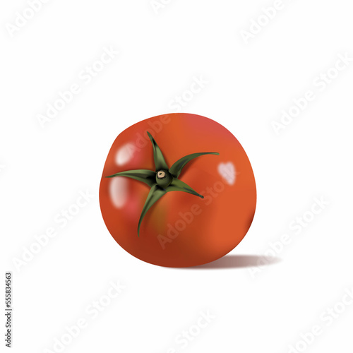 tomato isolated on white background