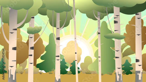 Sunrise in birch grove. Autumn landscape forest and trees. Nature view. Cartoon fun style. Flat design. Vector.
