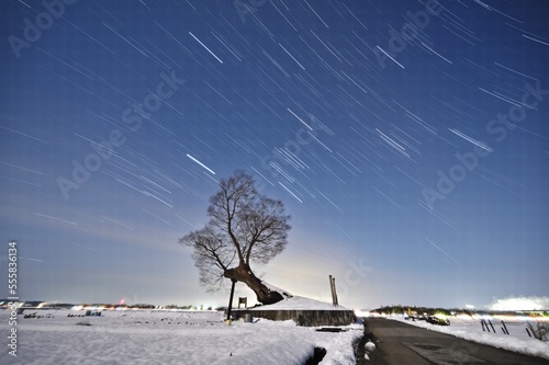 星空と飯盛木
