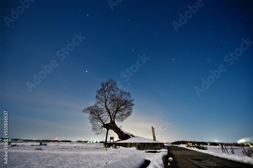 雪と星空と飯盛木