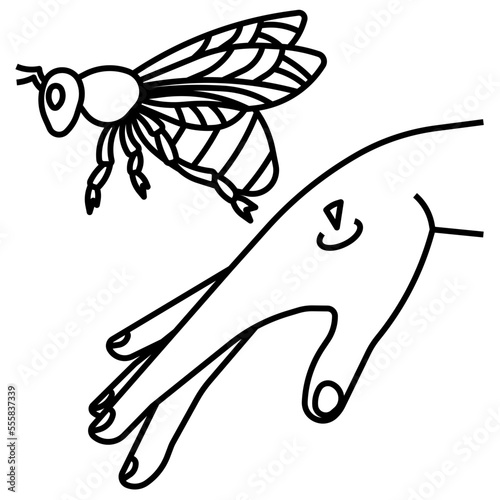 bee sting line icon photo