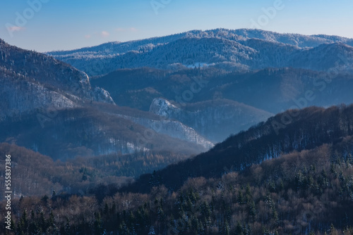 Panoramic view of beautiful winter wonderland mountain scenery with leafless snow capped trees, clear blue sky and high Alpine mountains on background. Picturesque wintry scene with copy space