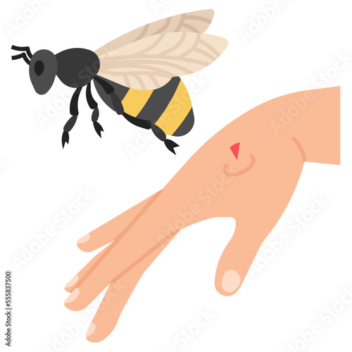 bee sting flat icon photo