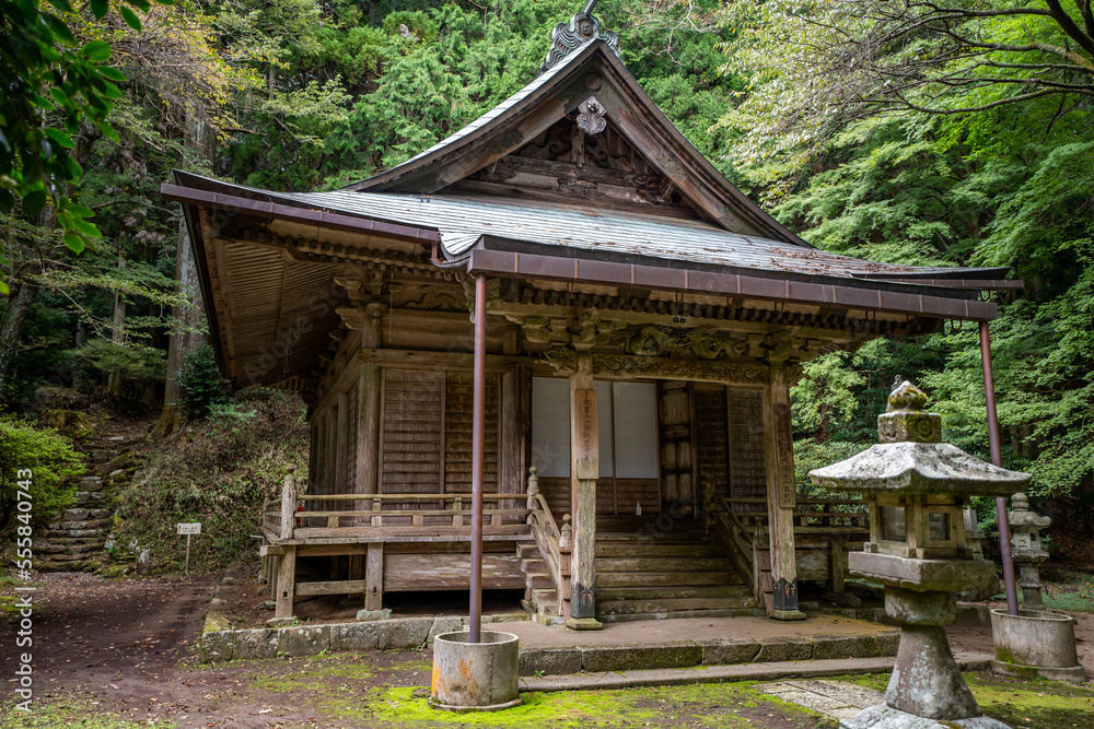 善福寺 善福寺