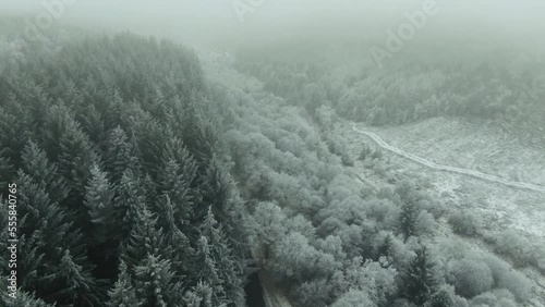 Drone parallax rising away from snow covered forest full of white and green trees as it ascends into misty fog photo