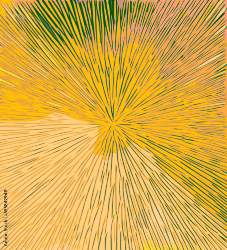 Obraz premium abstract rays background vector