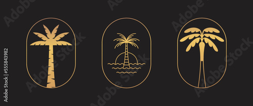 Vector logo design template with palm tree - abstract summer and vacation badge and emblem for holiday rentals, travel services, tropical spa and beauty studios