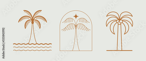 Vector logo design template with palm tree - abstract summer and vacation badge and emblem for holiday rentals, travel services, tropical spa and beauty studios