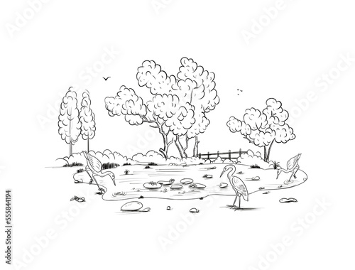 sketch of a tree illustration isolated on white background.