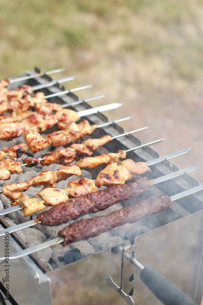 close up of shashlik kebab on open fire grill outdoors
