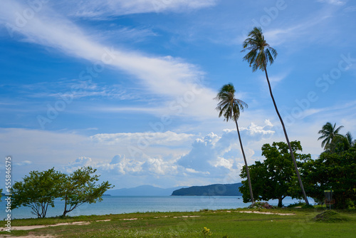 A palm tree on a deserted sandy beach in Thailand overlooking the sea. Vacation season © Kate