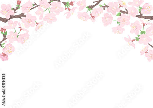 桜の花のトンネルのフレーム　A4横型　テクスチャー入り © akinotombo