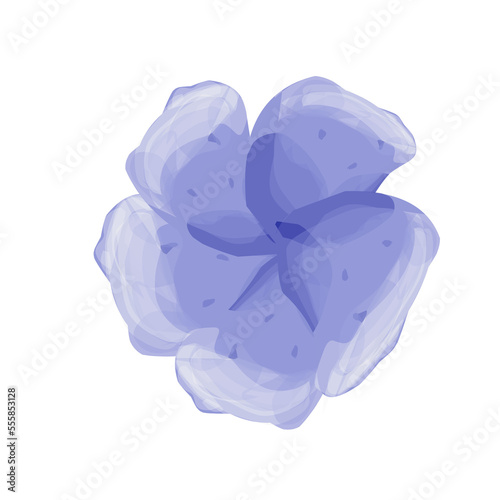 Purple flowers isolated on white watercolor 