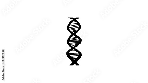 DNA silhouette, vector