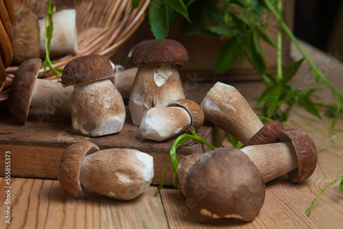 Pile of wild porcini mushrooms on wooden background at autumn season.. photo