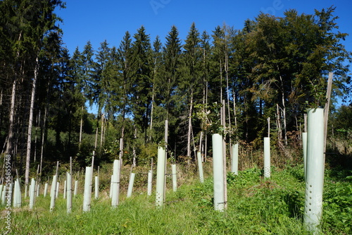 schädelberg 4