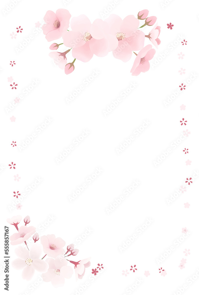 桜の花のフレーム縦　透過　春の水彩イラスト