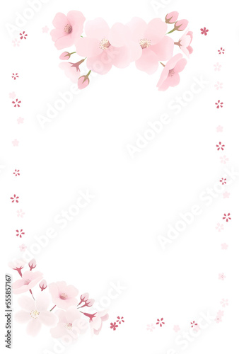 桜の花のフレーム縦 透過 春の水彩イラスト