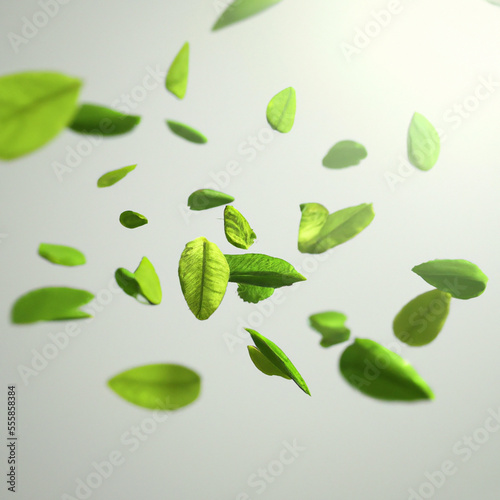 Flying green leaves effect with soft sunbeam in 3d