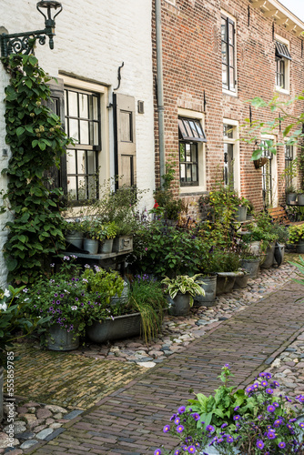  street gardens in a city int he Netherlands