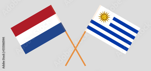 Crossed flags of the Netherlands and Uruguay. Official colors. Correct proportion photo
