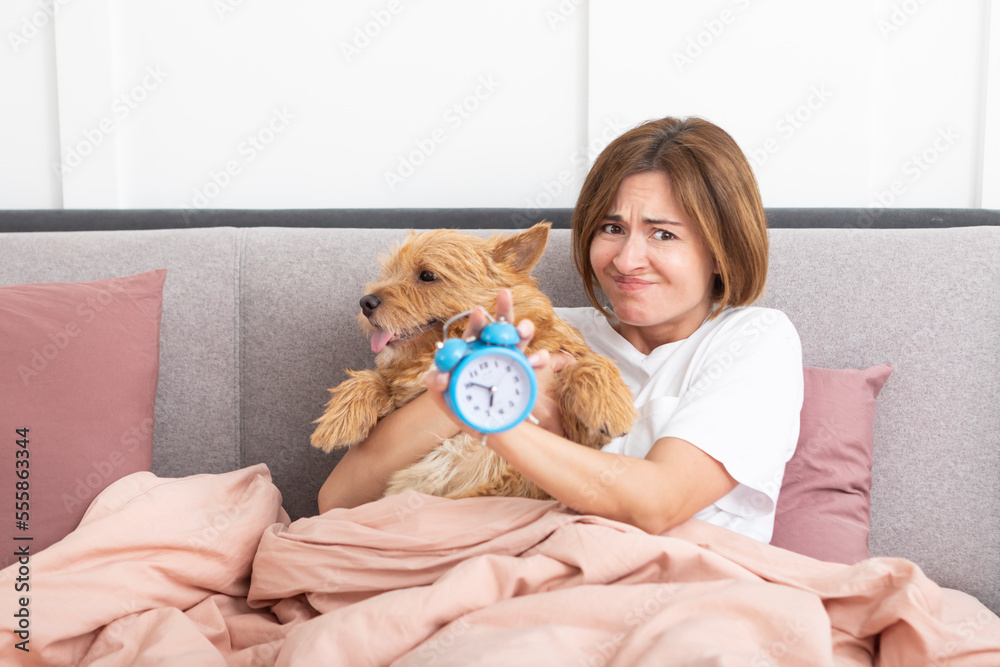 Woman holding alarm clock and demonstrating it to her dog. Cute dog trying to wake up it owner at early morning. Walk the dog concept Woman holding alarm clock and demonstrating it to her dog. Cute dog trying to wake up it owner at early morning. Walk the dog concept
