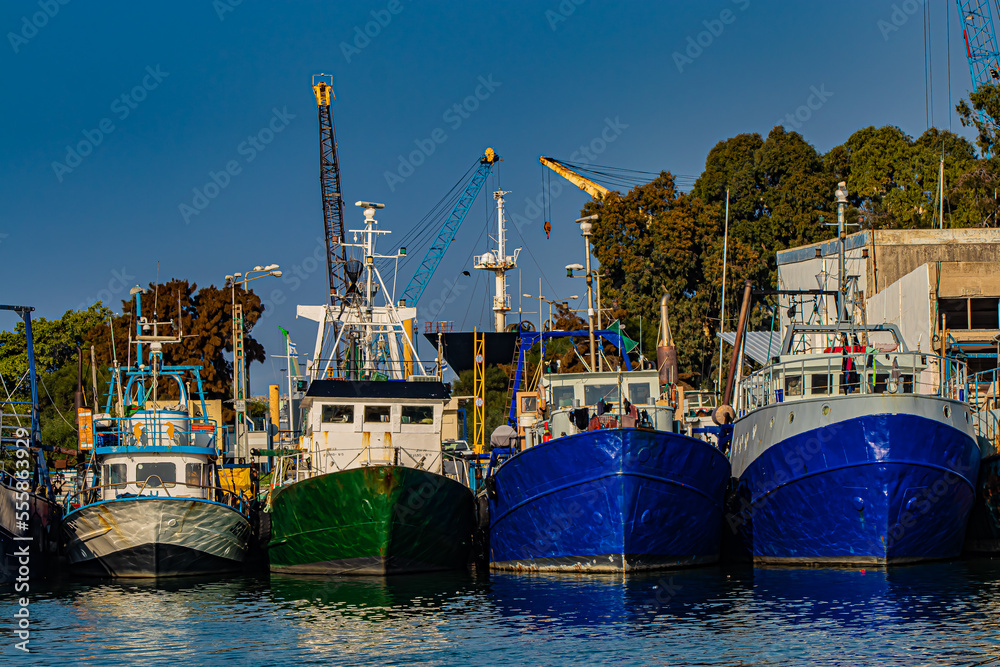 boats in the port country