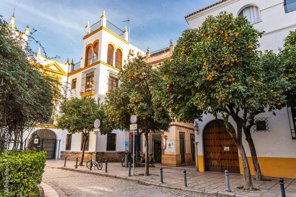 Fototapeta premium Streets of Seville, Andalusia, Spain