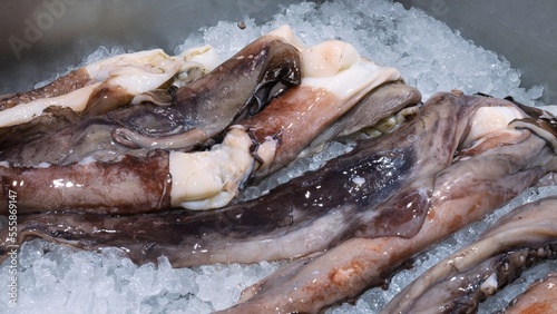 Seafood in ice at convenient fish market. The supermarket sells chilled octopus tentacles laid out on ice in freezer shelf. Buying schipol octopus for cooking seafood dishes. Consumption of shellfish photo