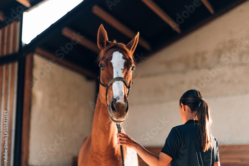 horse at the riding center with an instructor © Carlo