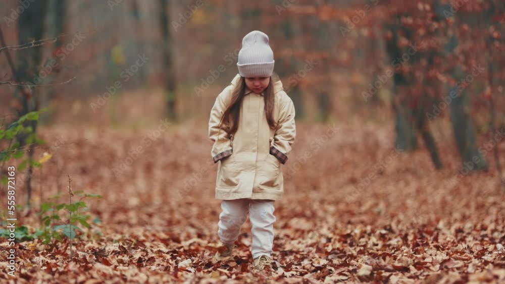 little girl walking in the autumn forest little girl walking in the autumn forest