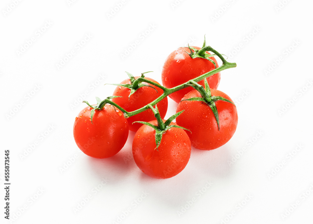 Cherry tomatoes on branch isolated on white background.