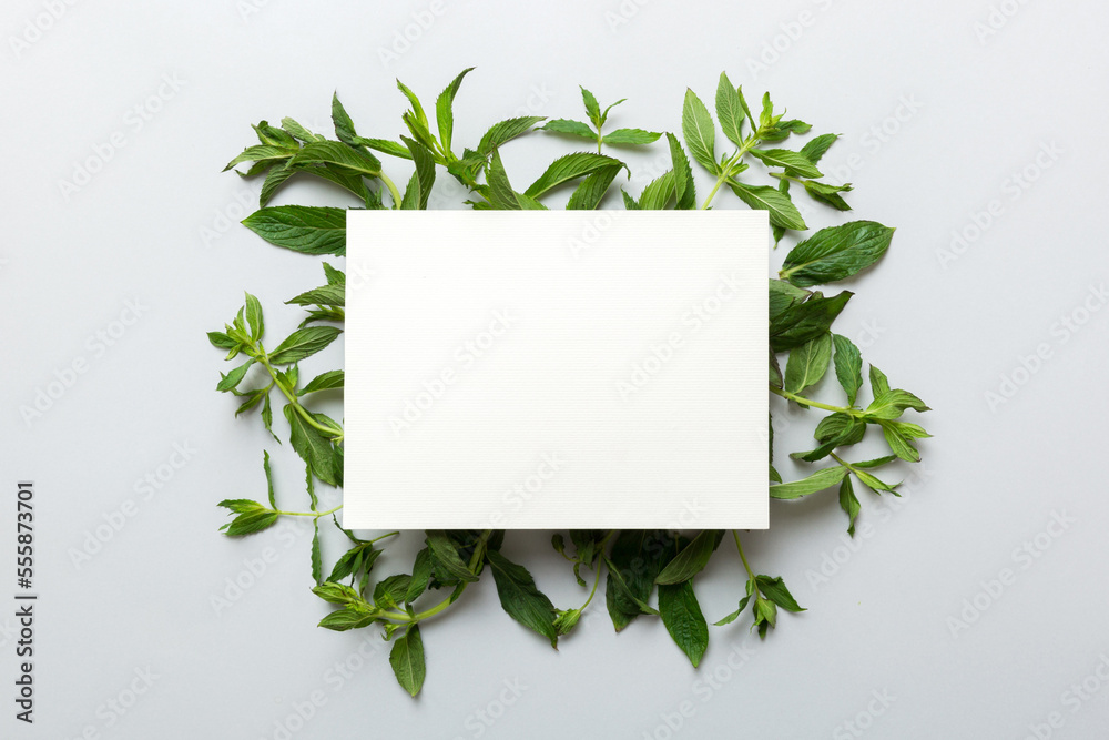 Wreath frame made of empty paper blank with space for text and mint leaves on colored background. . Mint Pattern. Flat lay. Top view Wreath frame made of empty paper blank with space for text and mint leaves on colored background. . Mint Pattern. Flat lay. Top view